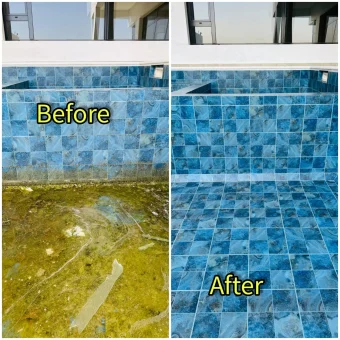 WhatsApp-Image-2024-12-23-at-7.50.50-AM